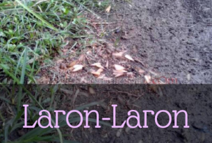 Laron-Laron