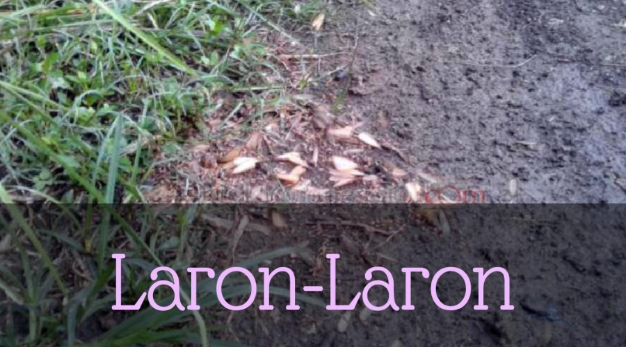 Laron-Laron