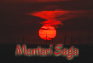 Mentari Saga
