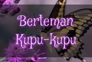 Berteman Kupu-Kupu