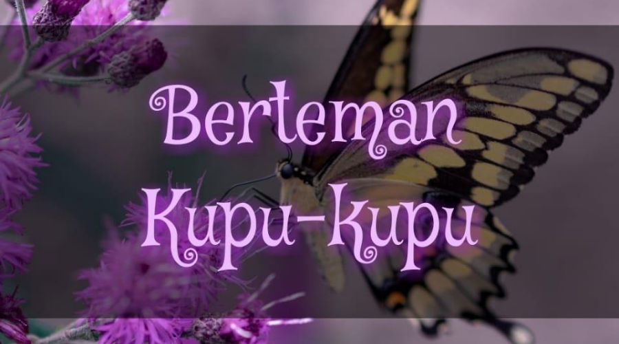 Berteman Kupu-Kupu
